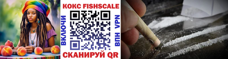 COCAIN Fish Scale  дарнет шоп  Губкин 