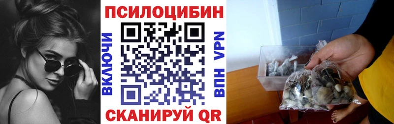 Псилоцибиновые грибы Magic Shrooms  где купить наркотик  Губкин 